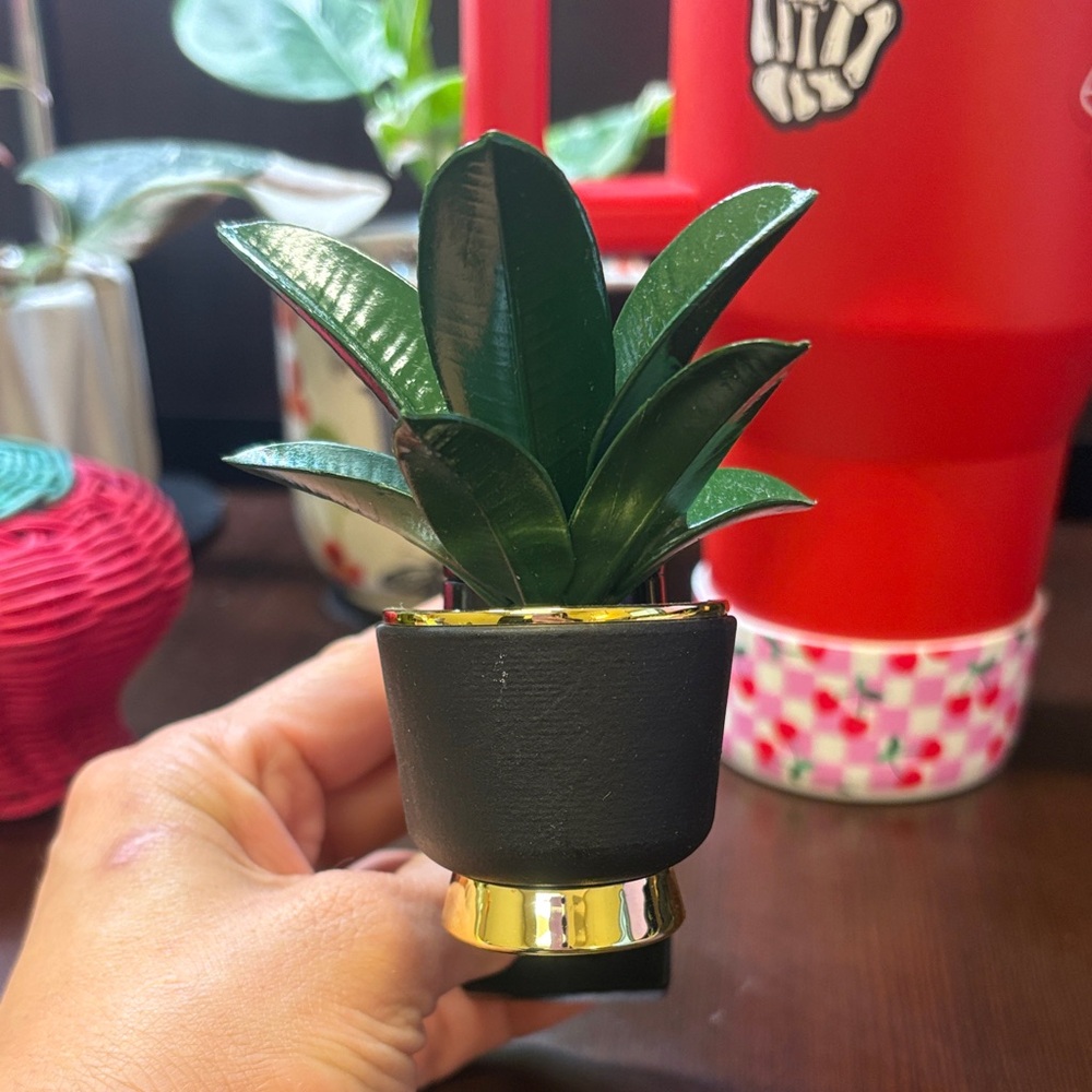 Bath & Body Works Black and Gold Plant Wallflower